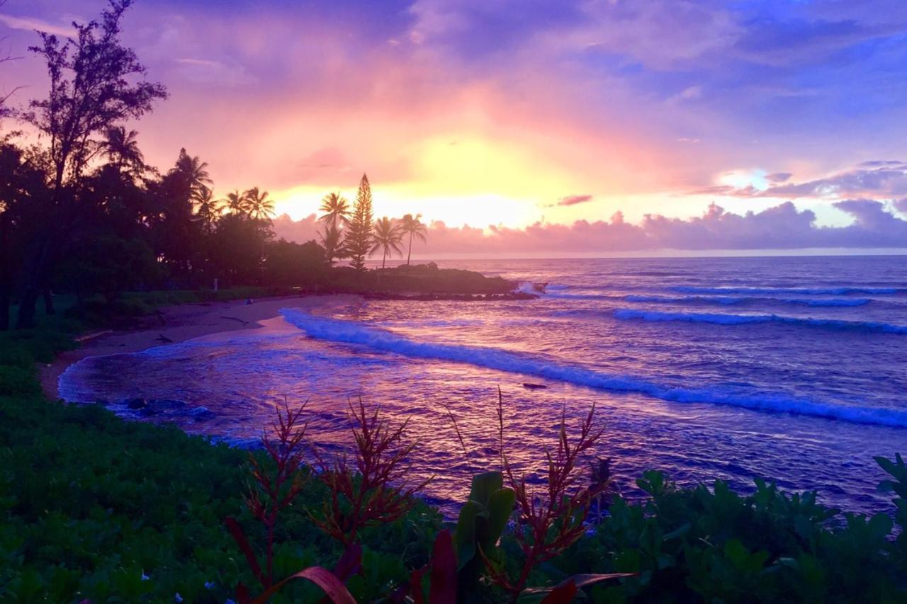 Lanikai Condos Kapaa Kültér fotó
